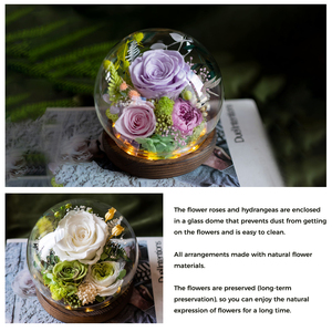 Eternal Rose Morthers Day Inmortal Blue Hydrangea Peony Everlasting Preserved Flower Clavel Forever Roses en Glass Dome Led - Product Image 4