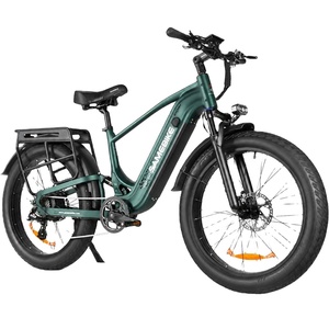 AU Warehouse Stock 48V 20Ah Fat Tire <b>Bike</b> With Suspension Fork and Hydraulic Disc Brakes for Outdoor Riding STORM 20Ah Large Cap - Product Image 1