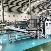 DY Continue Ontwateringscentrifuge Dehydratiemachine Volledig Automatische Centrifugale Groenteontwateringsmachine