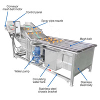 ORME Nettoyeur de laitue à feuilles de moringa Lave-petits fruits et légumes Machine à laver le manioc Bubble Berry Pepper