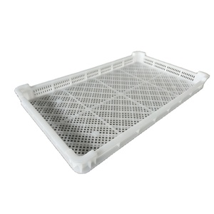 Hot sale PP/PE material frozen tray ventilated plastic stackable drying tray