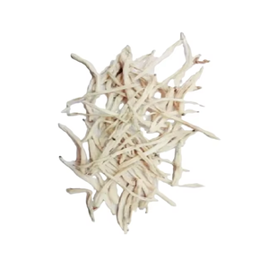 Complément alimentaire à base d'extraits végétaux, extrait de Safed Muslli, Chlorophytum borivilianum, prix de gros, commandes en gros - Product Image 2