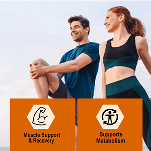 High Quality Plant Based Protein Powder Helps Support Endurance Recovery Helps Build Maintain Muscle Powder - Product Image 4