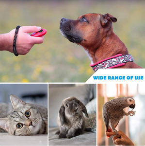 Pet <b>Dog</b> Training <b>Button</b> Clicker Kit Custom Clike Sound With Wrist Strap Animal Behavior Aids - Product Image 4