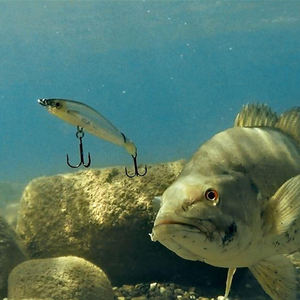 Leurre dur coulant Selco avec hameçons triples pour la pêche au brochet et au bar - Product Image 6