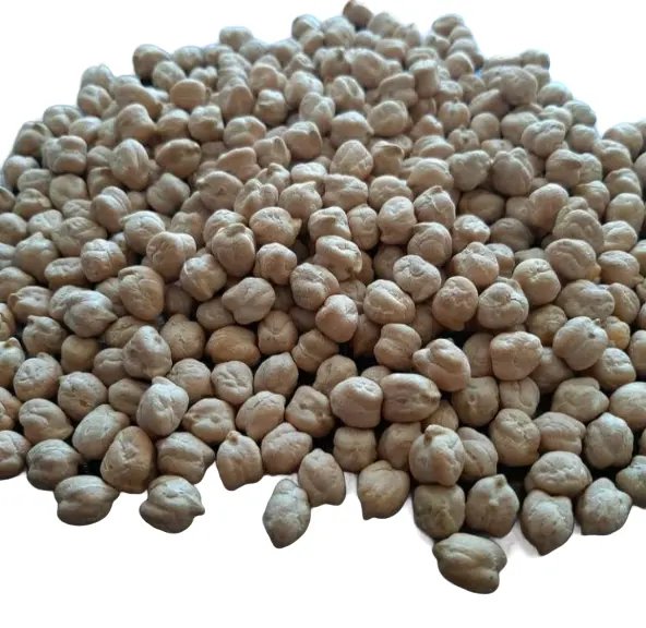 محصول جديد من الحمص الخام المجفف بكميات كبيرة مع شهادة من شركة تصنيع أوزبكستان بسعر الجملة للتصدير