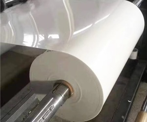 Tavuk gübresi tavuk kafesi çiftlik gübresi kaldırma sistemi için tavuk gübre konveyör bant - Product Image 3