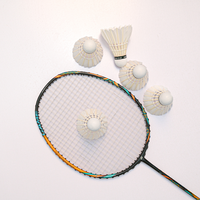 Volant de badminton Vina-Star, qualité tournoi, plumes d'oie, 5g, léger, écologique, haute durabilité, 3 couches, directement de l'usine