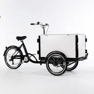 Factory Price Three Wheels Electric Closed Cargo Bike With Cover Cabin