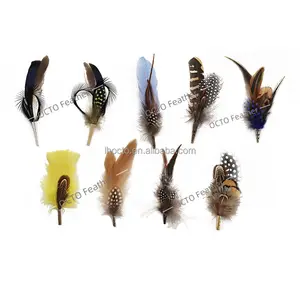 Wholesale Custom Design Rooster Hackle Pheasant Guinea Turkey Feather Mount Decorative Feathers For Hats