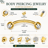 Piercing de Acero Inoxidable para Oreja, Ceja, Labio y Nariz, OEM/ODM, con Zirconia, Barbell Curvo, Hipoalergénico, Joyería para Piercing Corporal de Fábrica