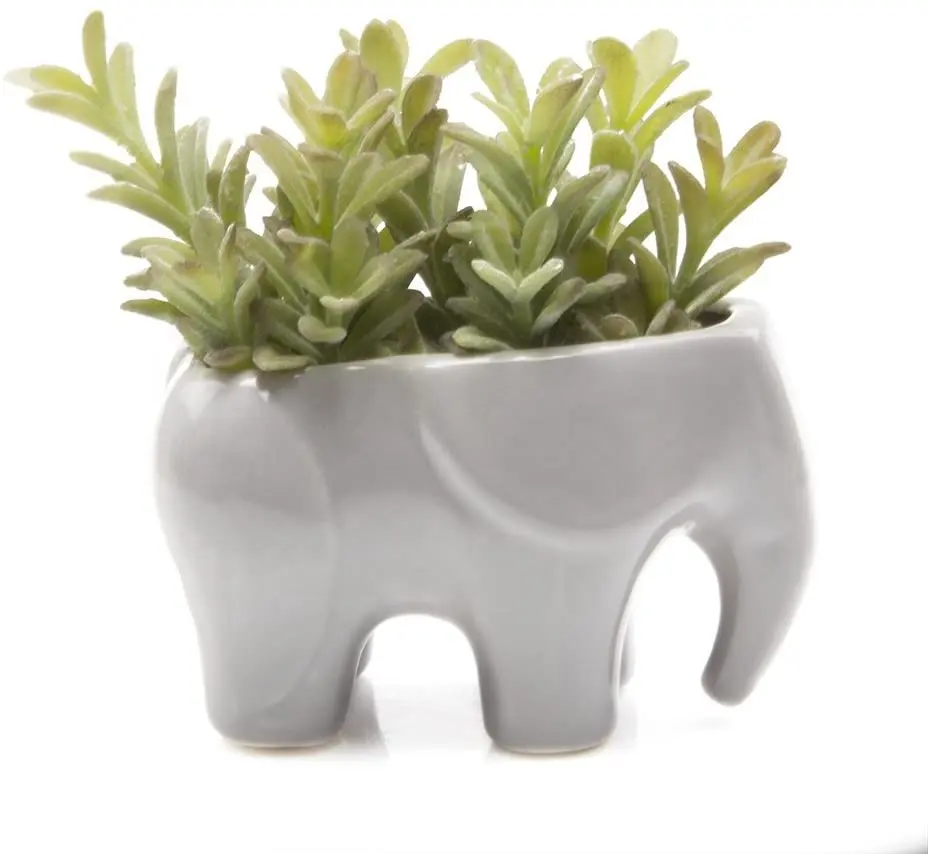 Jardinière succulente en céramique marguerite éléphant jardin cour mignon animal cactus pot de fleur pour maison bureau plante de table