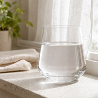 Verre d'hydratation professionnel pour bureau, tasse de réunion exécutive, gobelet VIP pour salon d'affaires, souvenir d'entreprise pour récompenses d'entreprise 10oz