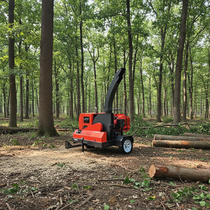 Trituradora de Madera Diésel de Alta Eficiencia |   Certificado CE, Capacidad de 2-4 t/h, 1 Año de Garantía |   Para uso agrícola y forestal - Product Image 1