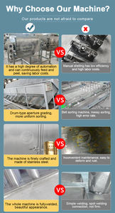 خط إنتاج آلي لمعالجة الكاجو من الشركات المصنعة، آلة معالجة الكاجو الجديدة الأعلى مبيعًا بسعر منخفض - Product Image 6