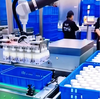 Mesin Pengemas Karton dan Botol, Robot Kolaboratif Pick and Place, Mesin Pemasang Karton, Mesin Pemuat Peti, Mesin Palletizer