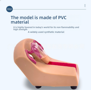 แบบจำลองฝึกหัดอุ<span class=keywords><strong>ป</strong></span>กรณ์สอดในมดลูกสำหรับผู้หญิง ทำจากวัสดุ<span class=keywords><strong>พ</strong></span>ีวีซี สำหรับการฝึกอบรมทางสูตินรีเวช การวาง<span class=keywords><strong>แผน</strong></span>ครอบครัว และการตร<span class=keywords><strong>ว</strong></span>จวินิจฉัย - Product Image 3