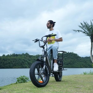 Vélo Électrique Zerogo 2026 C1 750W pour Adultes, Vélo de Ville Électrique à Pneus Larges pour Femmes, Vélo Cargo à Moteur Arrière, Batterie au Lithium, Moteur Brushless - Product Image 5