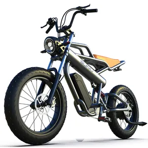 N20 E-Bikes Suppliers powerful electric bike With 20AH Large Battery Electric Bicycle for Wholesale electric adult bike