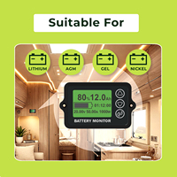 Moniteur de courant en temps réel E&J EJ-BC10 500A, testeur de batterie au lithium intelligent avec shunt, compteur de SoC, précision de 1%, 8-80V pour pack de batteries DIY