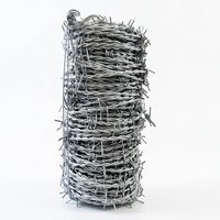 Alambre de Púas Galvanizado por Inmersión en Caliente |   Rollo de Alambre de Púas Recubierto de PVC Anti-Escalada para Cercas de Seguridad Perimetral