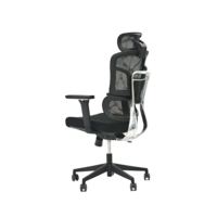 2311A-2 Chaise de bureau ergonomique en maille, réglable en hauteur, pivotante et inclinable, dossier haut moderne, pour usage professionnel, mobilier de bureau, chaise de bureau