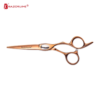 RK054 SUS 440A Ciseaux De Coupe De Cheveux En Acier Inoxydable Étudiant Ciseaux De Coiffeur Professionnels