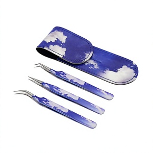 Nouvel Arrivage : Ensemble de Pinces à Cils de Précision Antistatiques en Acier Inoxydable avec Étui à Motif Nuage et Logo Personnalisé, Pointe en Fibre Lisse pour Faux Cils - Product Image 1