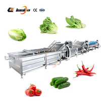 Avocado Wassen En Sorteren Machine Bubble Wasmachine Groente En Fruit Reiniging Wassen Verwerkingslijn