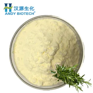 Natural Rosemary Extract Powder Rosemary Antioxidant 50% Rosemary Ursolic Acid