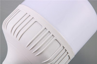 Smd2835 5W 10W 15W 20W 30W 40W 50W 60W blanc chaud 2 ans de garantie ampoule Led en T de bonne qualité