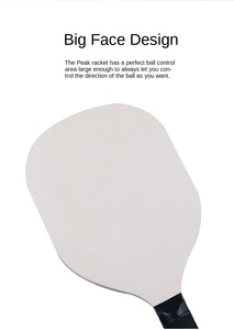 Nouvelle technologie ERA Power Dynamic <span class=keywords><strong>Fusion</strong></span> Core Pickleball <span class=keywords><strong>Paddle</strong></span> 16mm d'épaisseur Stable et durable avec nid d'abeille PP et noyau en mousse EVA - Product Image 4