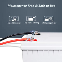 Batería AGM VRLA de Ciclo Profundo de 12V 24Ah 200Ah, Batería de Plomo-Ácido Libre de Mantenimiento para Sistema Solar, UPS y Energía de Respaldo de Emergencia