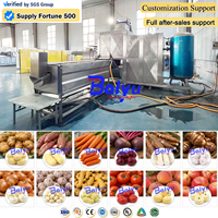 Baiyu hoog-efficiënte stoomschilmachine met automatisch invoer- en afvoersysteem voor groenteverwerking