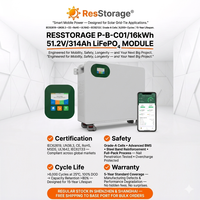 Batterie LiFePO4 commerciale 48V 314Ah 16kWh montée sur rack pour stockage d'énergie solaire industrielle avec BMS