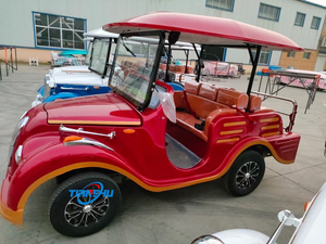 2025 Custom 8 11 14 Seat Electric Classic Car Venta caliente al Aire Libre Verde Vintage para <span class=keywords><strong>VW</strong></span> Car From China Factory Enjoliver Price - Product Image 2