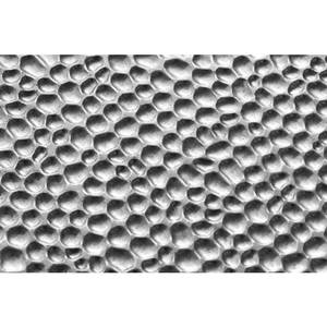 Kim loại dập nổi tấm kim loại dập nổi tấm DM thép không gỉ tấm rèn mô hình với Trần ASTM ứng dụng trang trí - Product Image 4