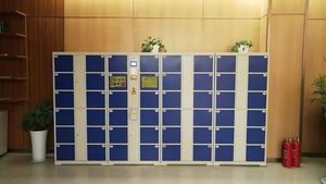 Fingerprint Intelligent Parcel <b>Locker</b> System Storage <b>Lockers</b> Digital Electronic Steel Smart Metal Customized - Product Image 2