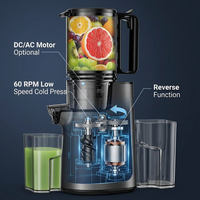 Extracteur de jus professionnel à froid à mastication lente pour fruits et légumes entiers avec logo personnalisé et grande ouverture