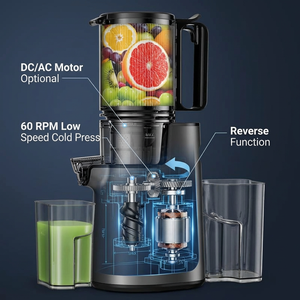 Exprimidor de frutas y verduras enteras con logotipo personalizado, exprimidor de masticación lenta, máquina extractora de exprimidor en frío eléctrica profesional de <span class=keywords><strong>Boca</strong></span> Grande - Product Image 3