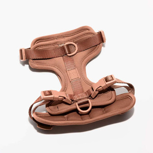Lujo Macaron Multicolor Anti-derramamiento perro arnés Correa conjunto Nylon malla transpirable mascota chaleco Collar Simple encantador deporte moda - Product Image 1