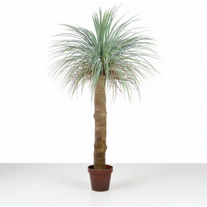Venta al por mayor Artificial Dracaena Marginata Tree UV Protected Uso al aire libre Alturas personalizadas 1,5-4M OEM aceptado - Product Image 6