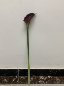 Fiori di Calla Artificiali di Alta Qualità per Decorazioni Domestiche, Matrimoni, Eventi, Natale e <span class=keywords><strong>Festa</strong></span> <span class=keywords><strong>della</strong></span> <span class=keywords><strong>Mamma</strong></span> - Product Image 4