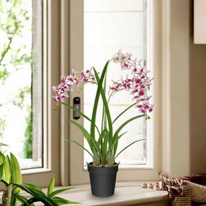 Orchidées papillon en soie écologiques, toucher réel, Phalaenopsis blanche, centre de table pour l'intérieur et l'extérieur - Product Image 6