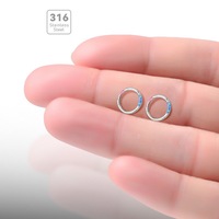 Anneau de segment d'opale en acier inoxydable 316 pour piercing corporel | Coloré Clicker Hoop Nez Septum Cartilage Helix Bijoux