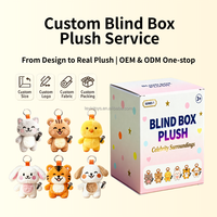 Boîte aveugle personnalisée porte-clés en peluche marchandises de célébrités personnalisées fabricant de jouets de poupée en peluche jouet en peluche souvenir de concert