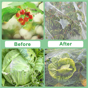 Filets anti-insectes pour la maison, en maille plastique, pour protéger les fruits et légumes, moustiquaire de fenêtre, filet anti-insectes du Vietnam - Product Image 2