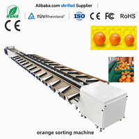 Niveleuse automatique d'écrevisses de crevettes Machine de qualité avocat Machine de tri de concombre à vendre