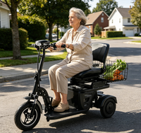 Tricycle électrique pliable pour adultes en stock dans l'entrepôt de l'UE, vélo électrique à 3 roues avec batterie amovible, panier avant, siège confortable, idéal pour les voyages