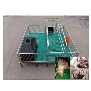 Cama de Parto <span class=keywords><strong>Aow</strong></span>, Equipo para Granjas Porcinas, Jaula de Crecimiento para Lechones, Equipo para Cría de Cerdos - Product Image 6